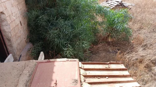 Vente Hangar Mostaganem Souaflia