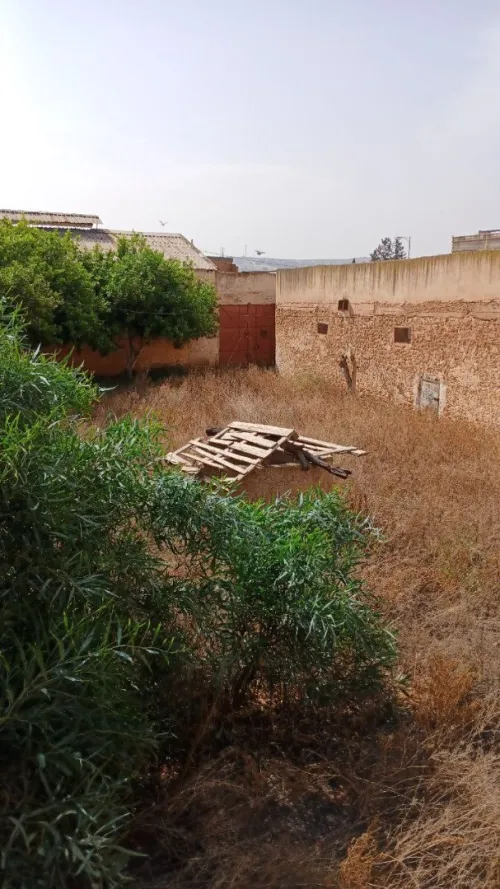 Vente Hangar Mostaganem Souaflia