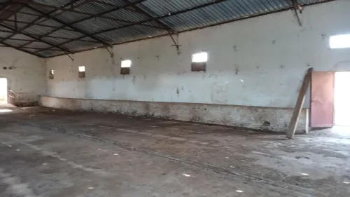 Vente Hangar Mostaganem Souaflia