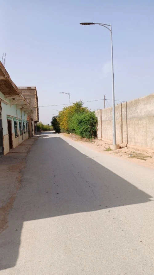Vente Hangar Mostaganem Souaflia