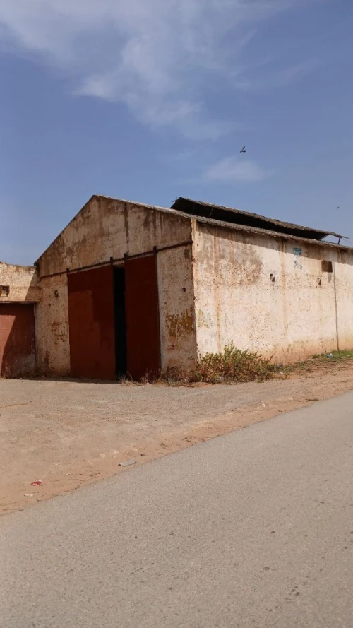 Vente Hangar Mostaganem Souaflia