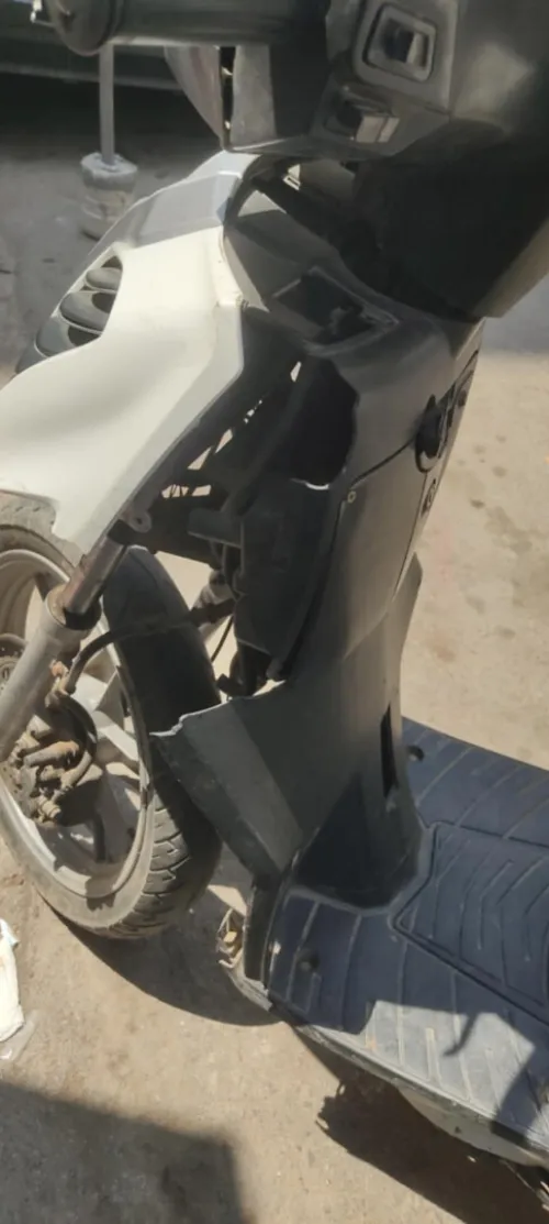 benelli logik 2018