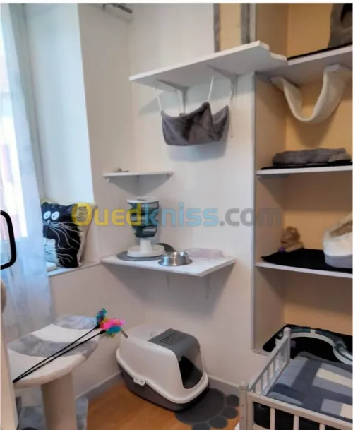 Garderie de chats 
