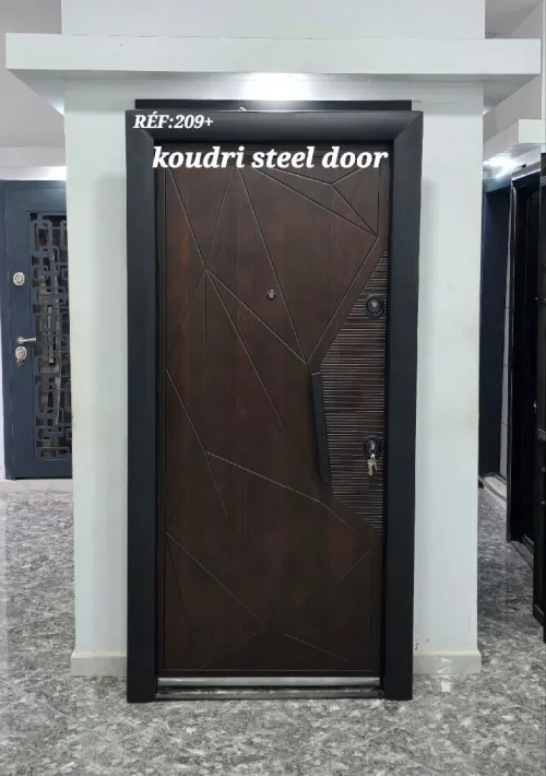 Porte extérieur AADL LPA LPP LSP SOCIAL VILLA 