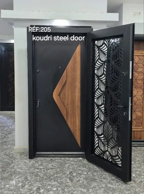 Koudri steel door 