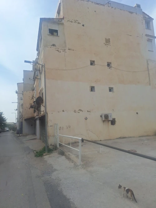 Vente F6 Alger Cheraga