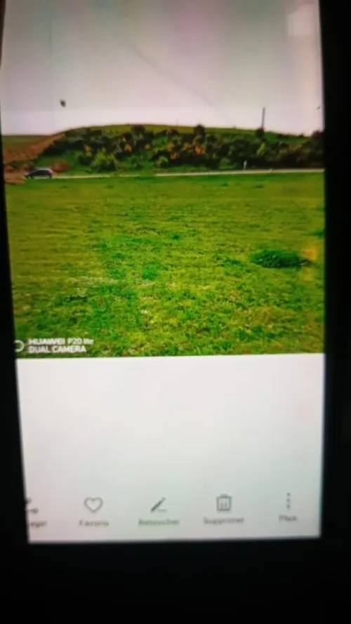 Vente Terrain Skikda Bouchtata