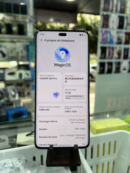 Honor 300 pro