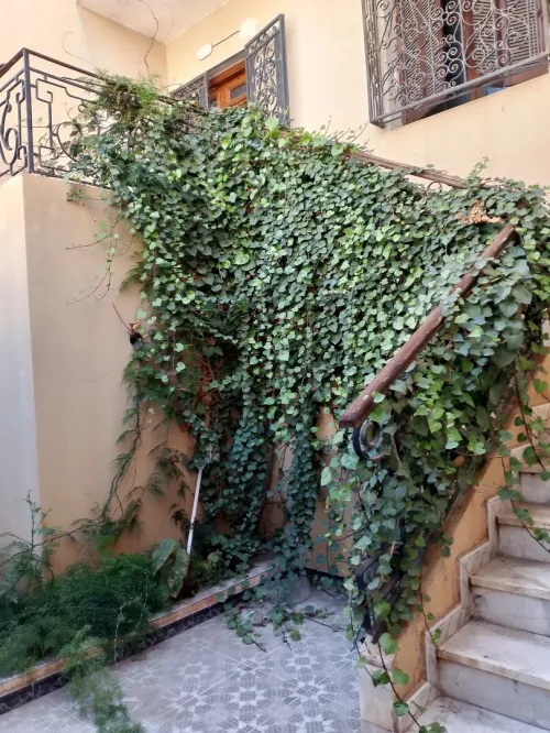 Vente Villa Mostaganem Mostaganem