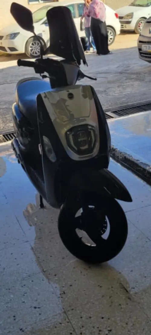 Vms Estate x 2022