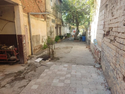 Vente Terrain Alger Les eucalyptus