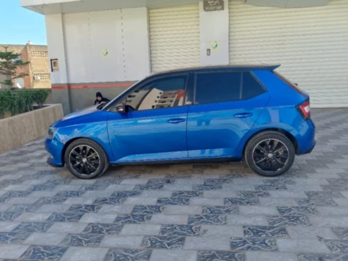 Skoda Fabia 2019 Monte Carlo