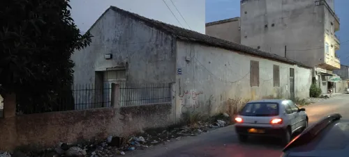 Vente Hangar Skikda Azzaba