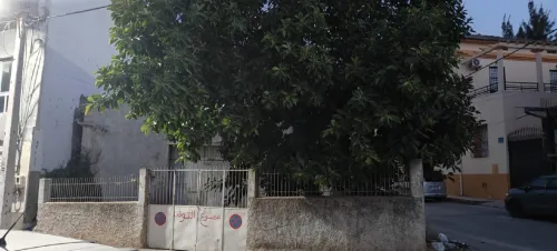Vente Hangar Skikda Azzaba