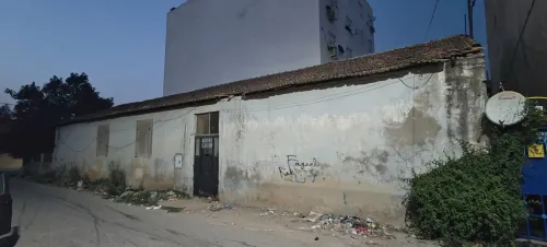 Vente Hangar Skikda Azzaba