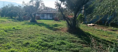 Vente Terrain Béjaïa Seddouk