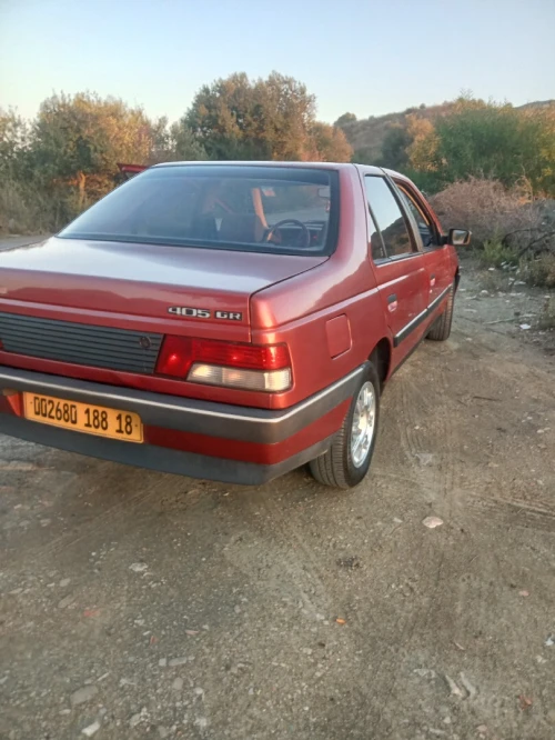 Peugeot 405 1988 405
