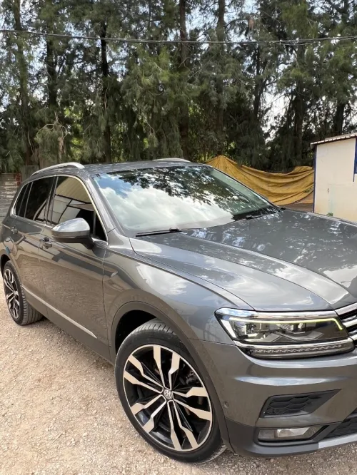Volkswagen Tiguan 2019 Drive 