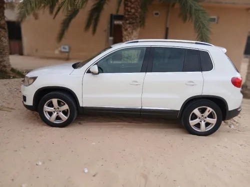 Volkswagen Tiguan 2014 Cub