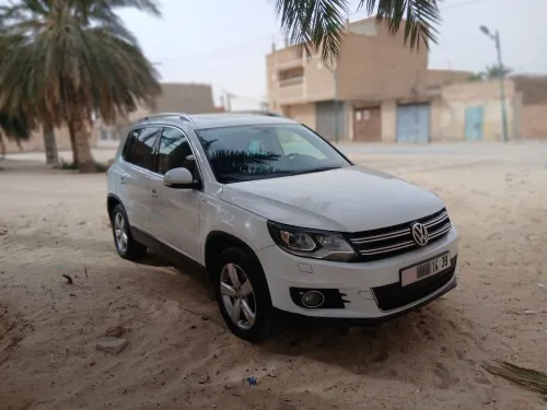 Volkswagen Tiguan 2014 Cub