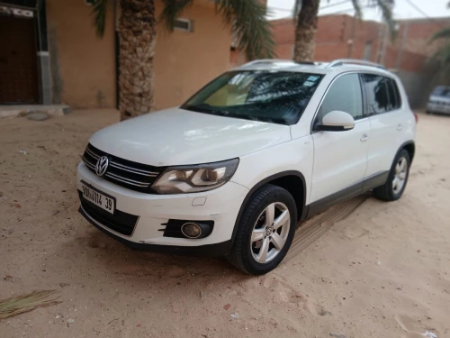 Volkswagen Tiguan 2014 Cub