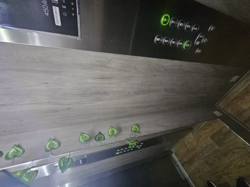 Location Appartement F5 Constantine Constantine
