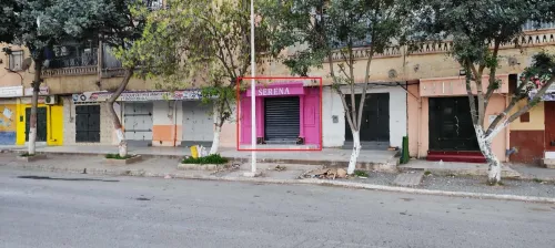 Vente Local Sidi Bel Abbès Sidi bel abbes