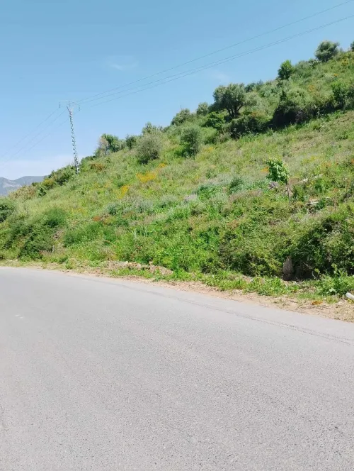 Vente Terrain Tizi Ouzou Ait chaffaa