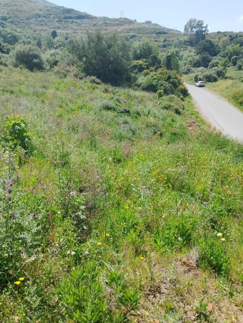 Vente Terrain Tizi Ouzou Ait chaffaa