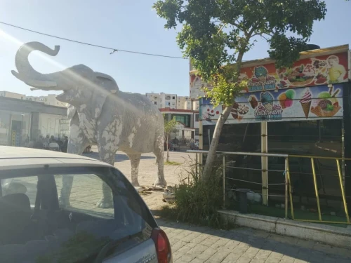 Vente Local Annaba El bouni