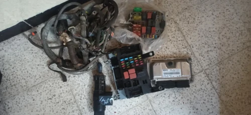 Mémoire palio fiat (complet)
