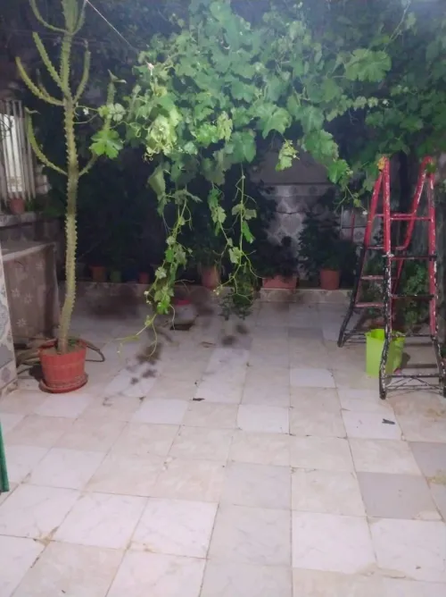 Vente Immeuble Sidi bel abbes Sidi bel abbes