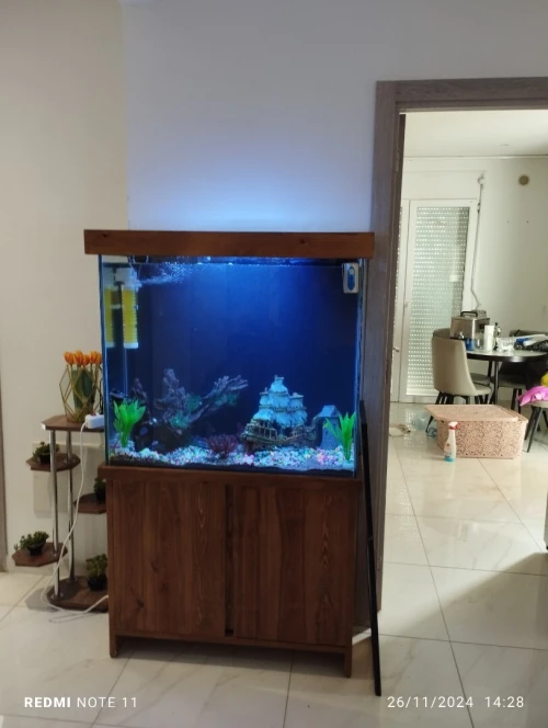Fabrication d'aquarium sur mesure 