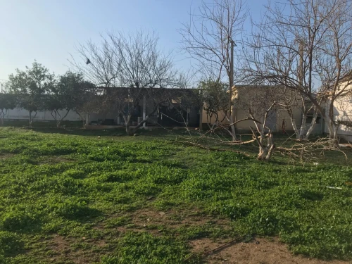 Location Terrain Blida Blida