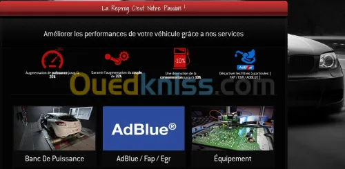 Reprogrammation Suppression FAP-ADBLUE-EGR-SONDE O2-SPEED LIMIT-HOT/COLD FIX-START/STOP.....