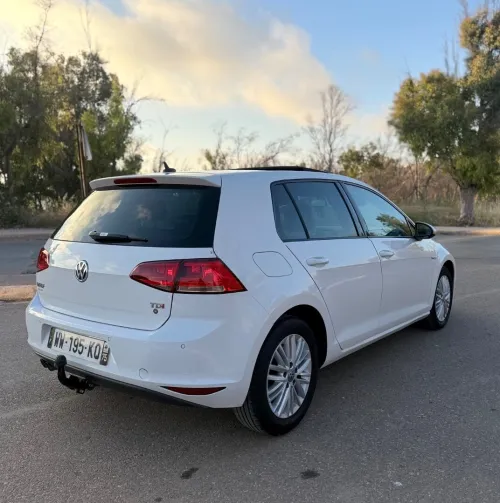 Volkswagen Golf 7 2014 Cup