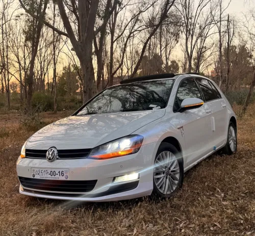 Volkswagen Golf 7 2014 Cup