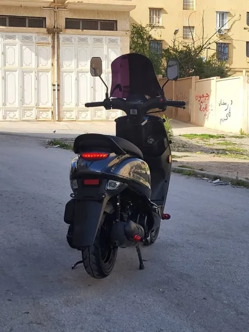 Estate X 2024