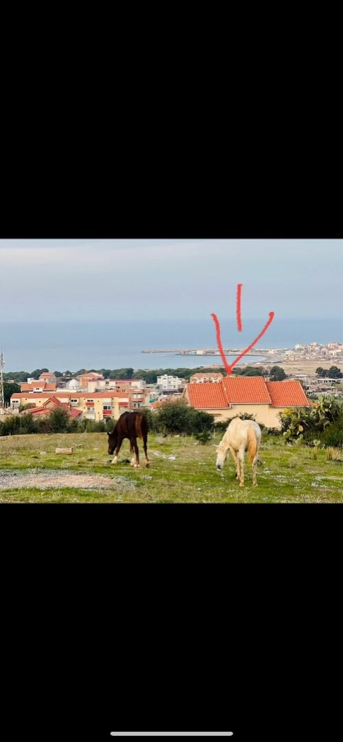 Vente Terrain Boumerdès Zemmouri