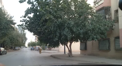 Vente Appartement F4 Batna Batna