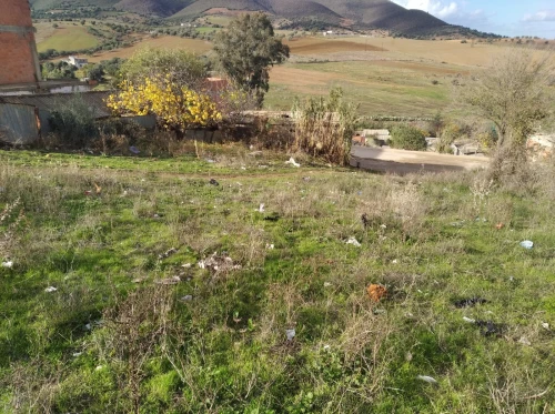 Vente Terrain Skikda Essebt