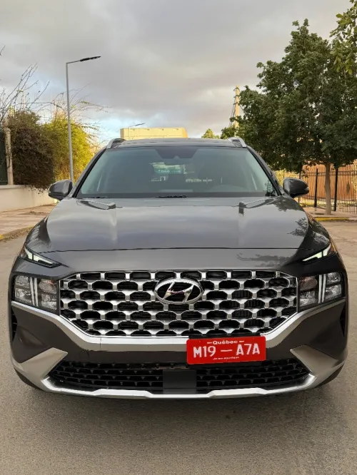 Hyundai Santafe santa fe 2024 H trac