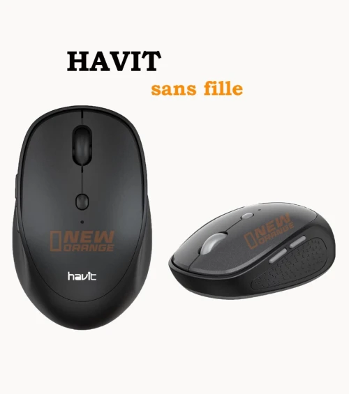 la souris havit ms76gt pro 