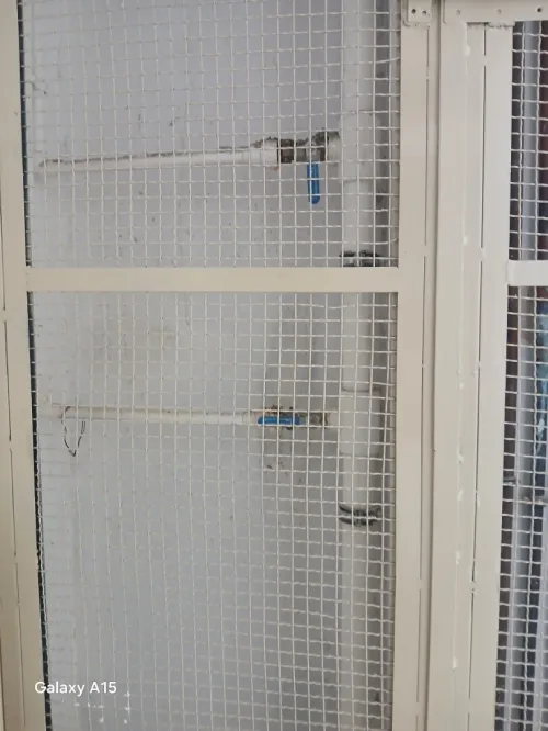 Vente Appartement Niveau de villa F4 Constantine Constantine