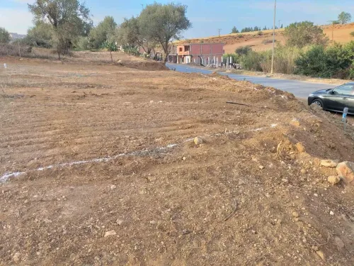 Vente Terrain Tlemcen Chetouane