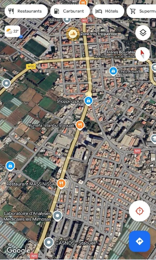Vente Terrain Alger Staoueli