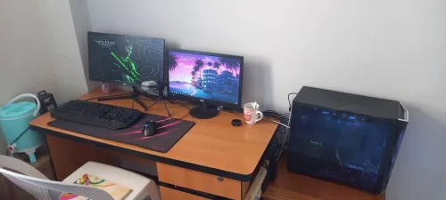 pc gamer+ecran (GPU: gtx 1650 CPU: AMD Ryzen 3 2200G ECRAN: AOC 19")