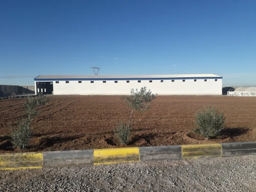 Vente Hangar Setif Guidjel