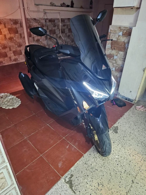 Okinoi TS max 200 2025 2025
