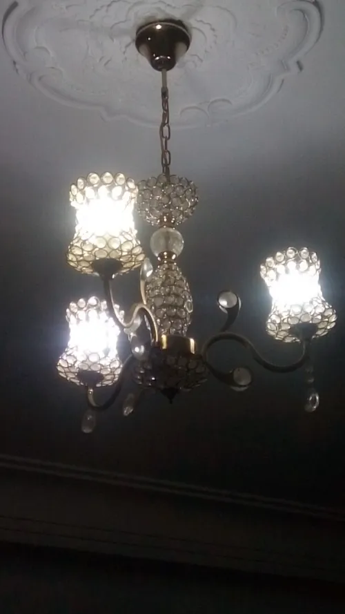 Vente 2 lustre salon